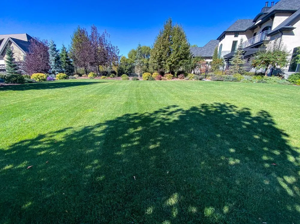 Expert garden landscaping experts serving Provo, UT - All Green Pest Control and Lawn Care