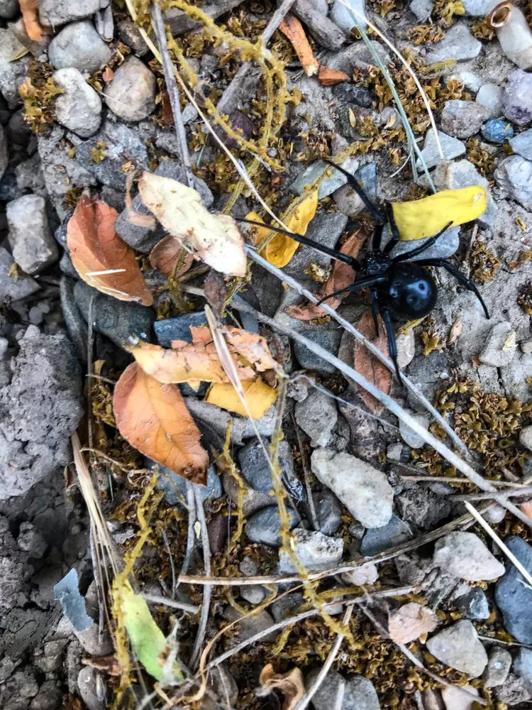 Reliable outdoor landscaping in Provo, UT by All Green Pest Control and Lawn Care