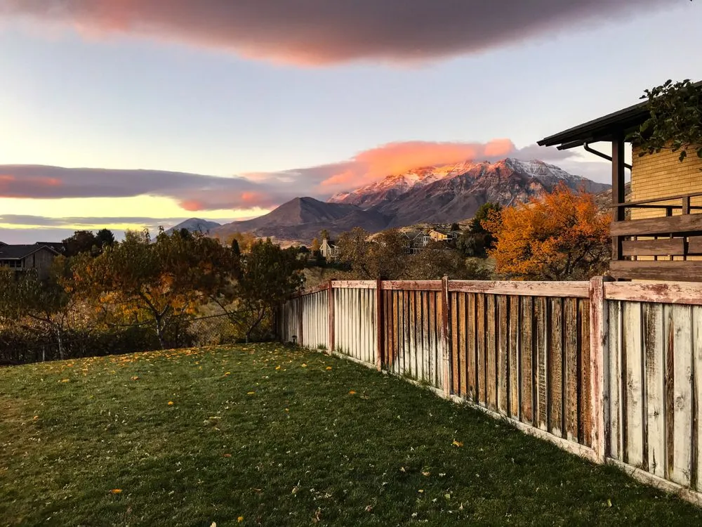 Trusted yard cleanup service in Provo, UT - All Green Pest Control and Lawn Care