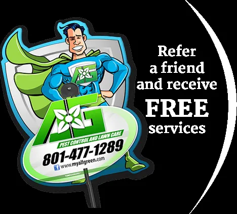 Expert landscaping services in Provo, UT - All Green Pest Control and Lawn Care