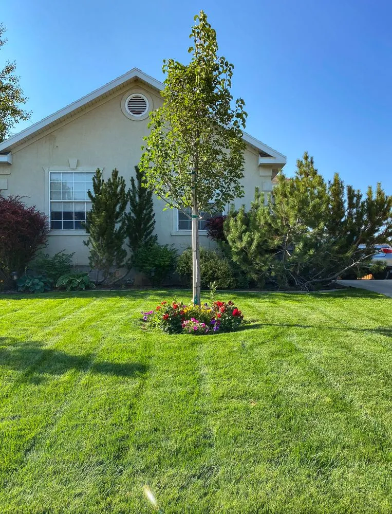 Trusted yard maintenance in Provo, UT by All Green Pest Control and Lawn Care