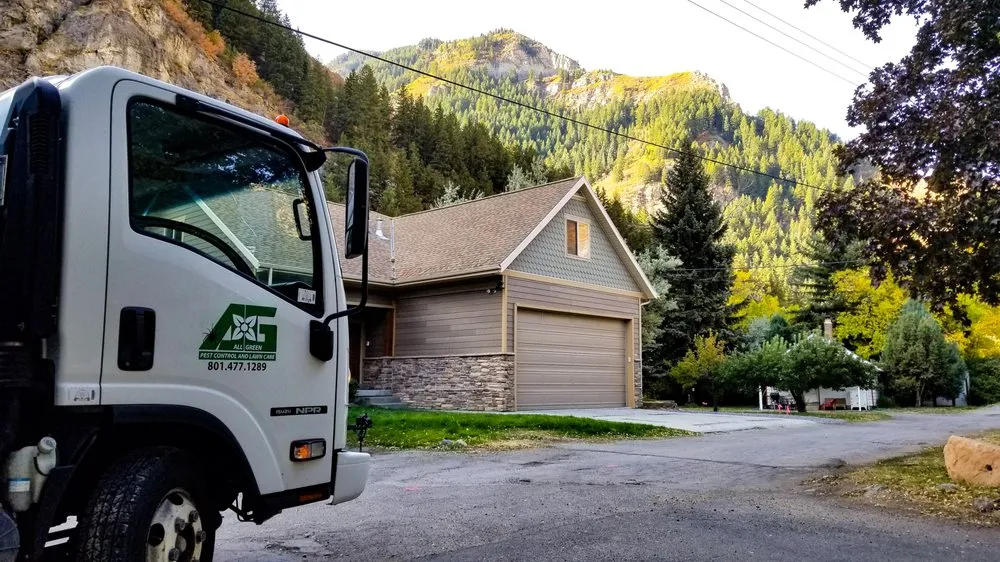Top-rated yard cleanup service for year-round maintenance in Provo, UT by All Green Pest Control and Lawn Care