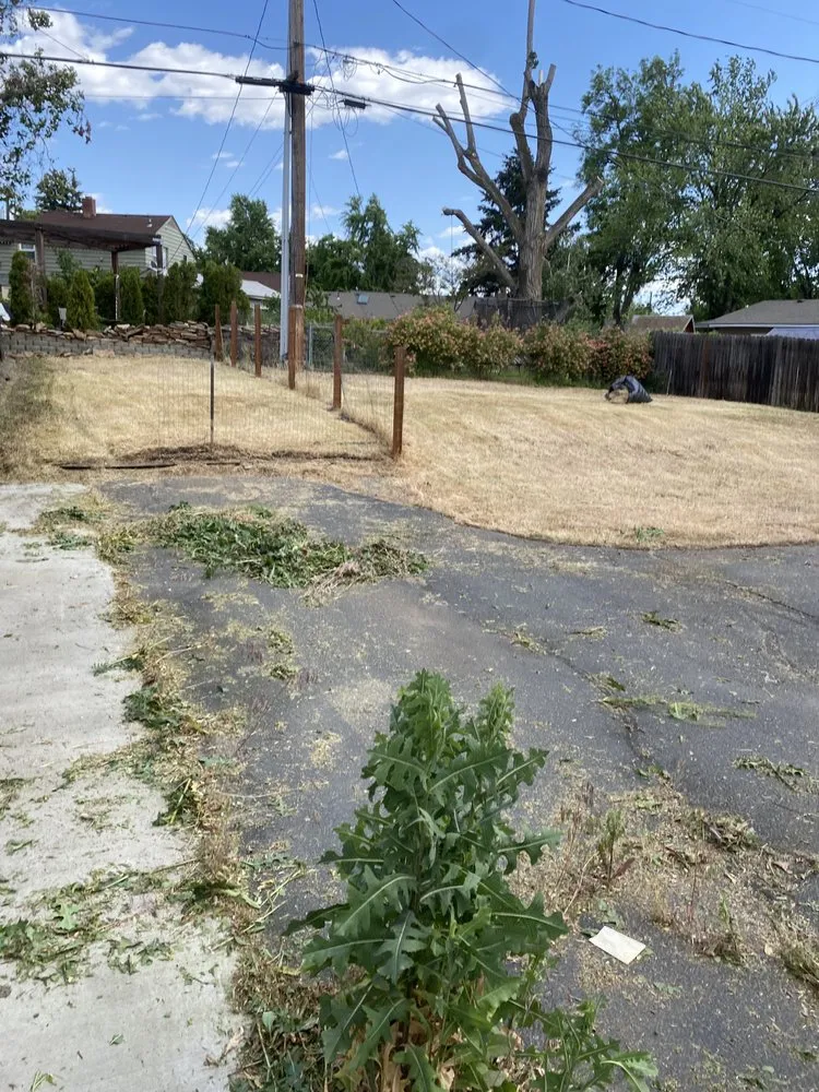 Affordable lawn care service with custom design across Richland, WA - All Green