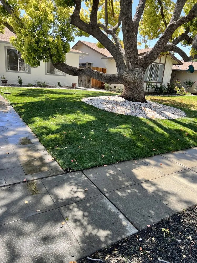 Trusted yard maintenance near you across San Jose, CA - All Green Scape