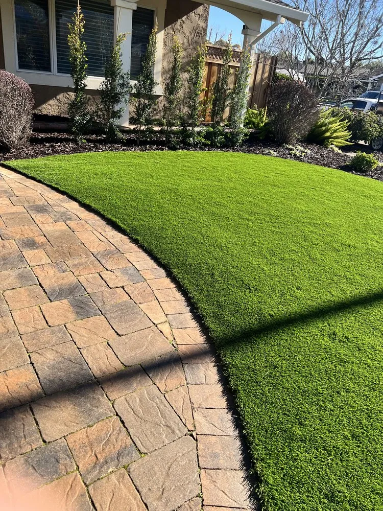 Top-rated lawn mowing service in San Jose, CA - All Green Scape