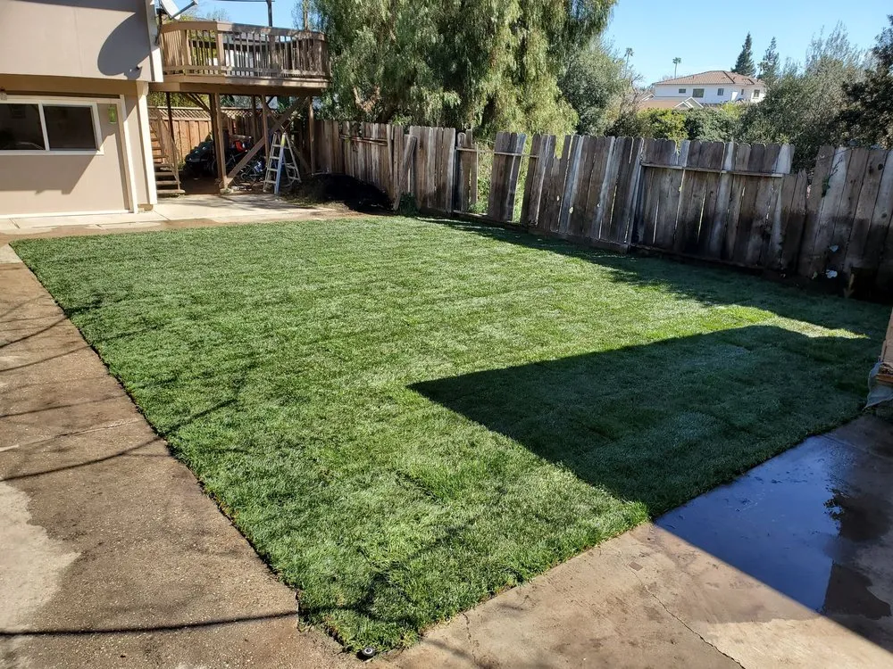 Affordable landscape design experts serving San Jose, CA - All Green Scape