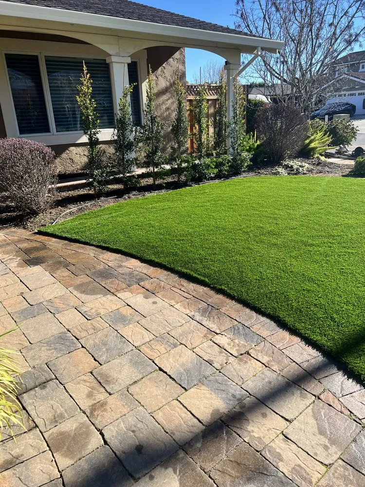 Expert lawn care service experts serving San Jose, CA - All Green Scape