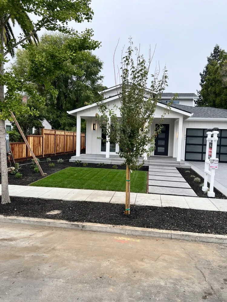 Custom yard cleanup service for outdoor upgrades across San Jose, CA - All Green Scape