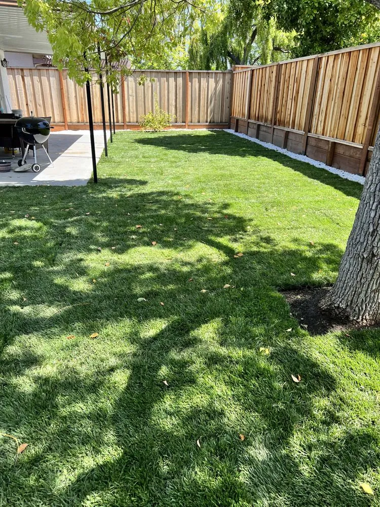 Trusted lawn mowing service experts serving San Jose, CA - All Green Scape