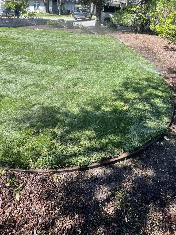 Top-rated garden landscaping for year-round maintenance in San Jose, CA by All Green Scape
