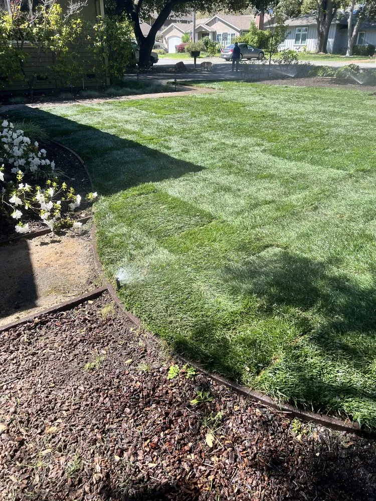 Affordable lawn care service for year-round maintenance in San Jose, CA by All Green Scape