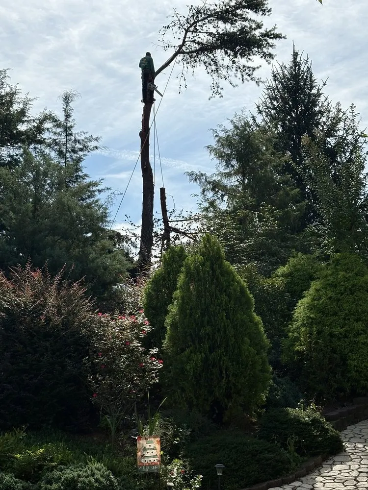 Top-rated residential landscaping in High Point, NC - All Green Tree Care