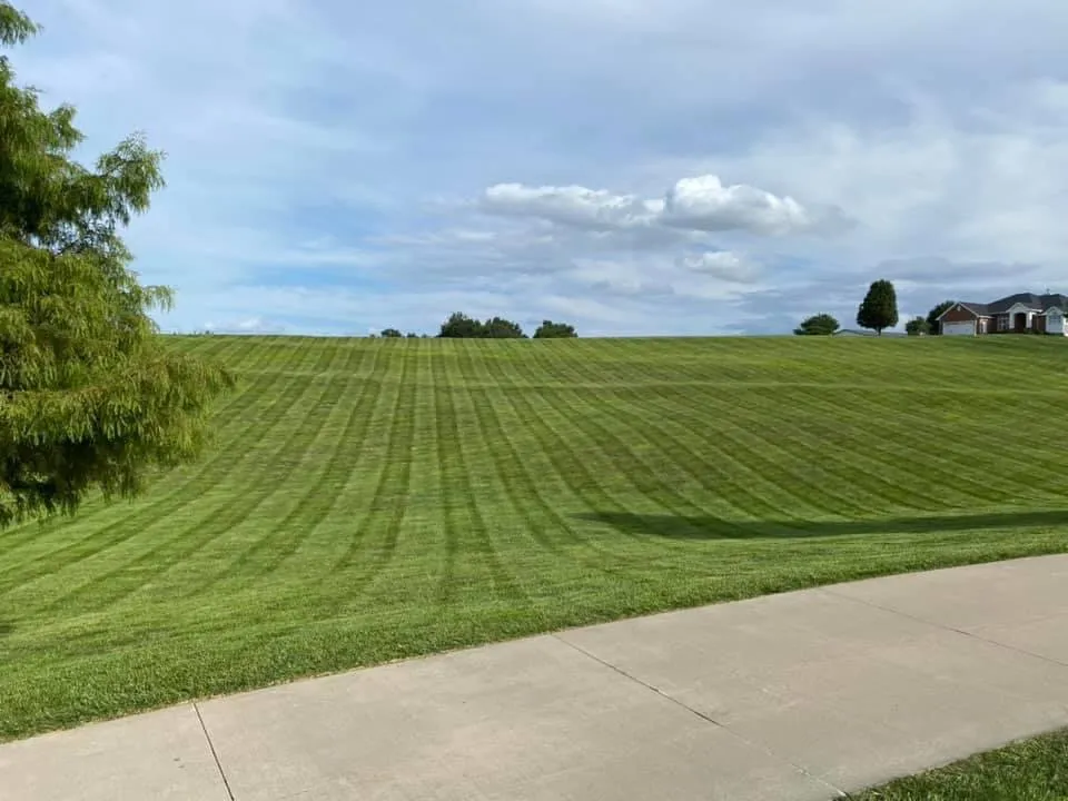 Reliable garden landscaping experts serving Milan, IL - All Green Turf