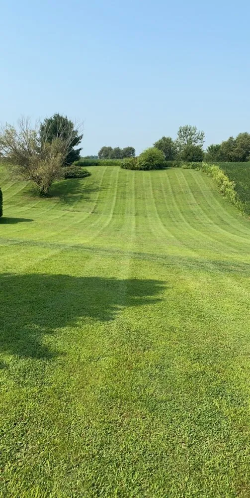 Reliable landscape installation in Milan, IL - All Green Turf