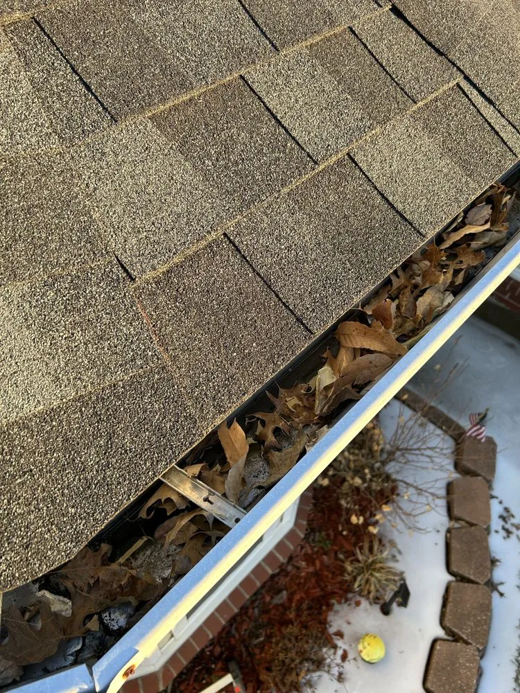 Professional yard cleanup service experts serving Bentonville, AR - All Gutter and Pressure Washing