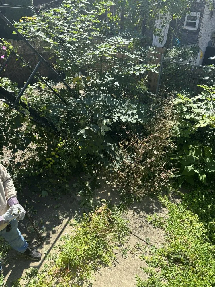 Custom garden landscaping in Philadelphia, PA - All Hands Aboard