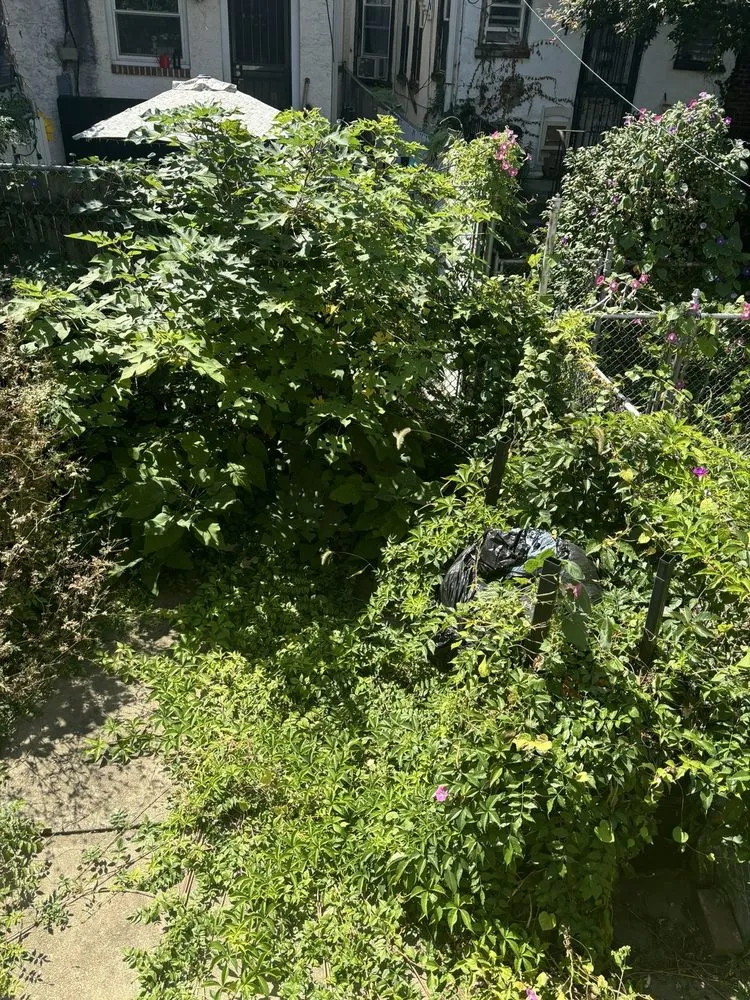 Custom landscape installation experts serving Philadelphia, PA - All Hands Aboard