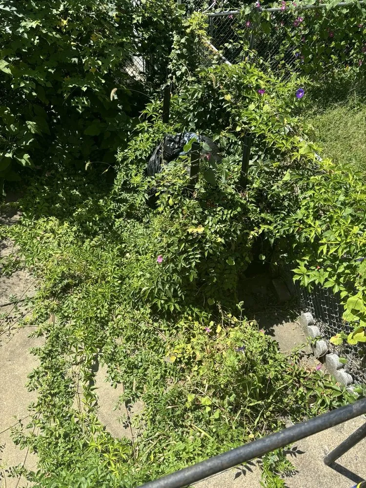 Professional landscape installation near you in Philadelphia, PA by All Hands Aboard