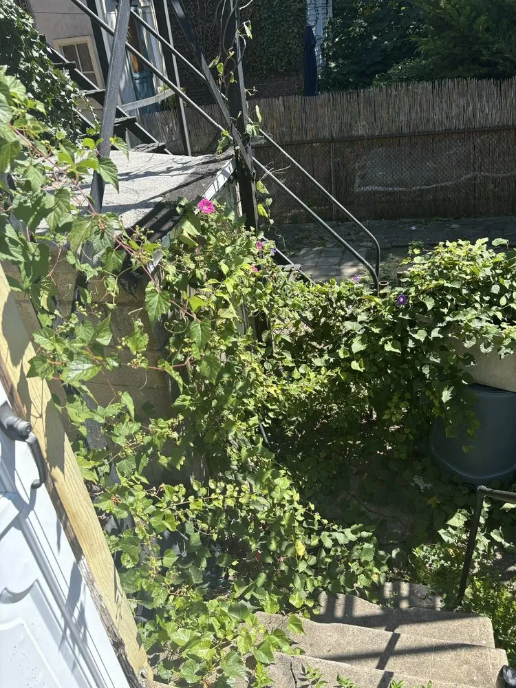 Expert landscaping services for homes across Philadelphia, PA - All Hands Aboard