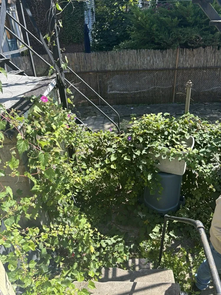 Local residential landscaping in Philadelphia, PA by All Hands Aboard