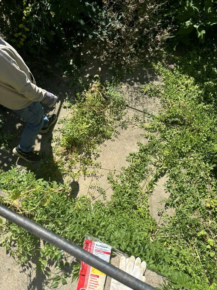 Affordable yard cleanup service in Philadelphia, PA by All Hands Aboard