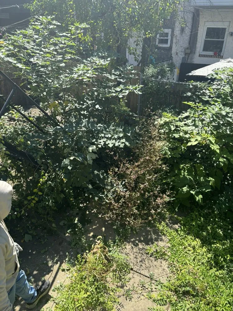 Local yard cleanup service experts serving Philadelphia, PA - All Hands Aboard