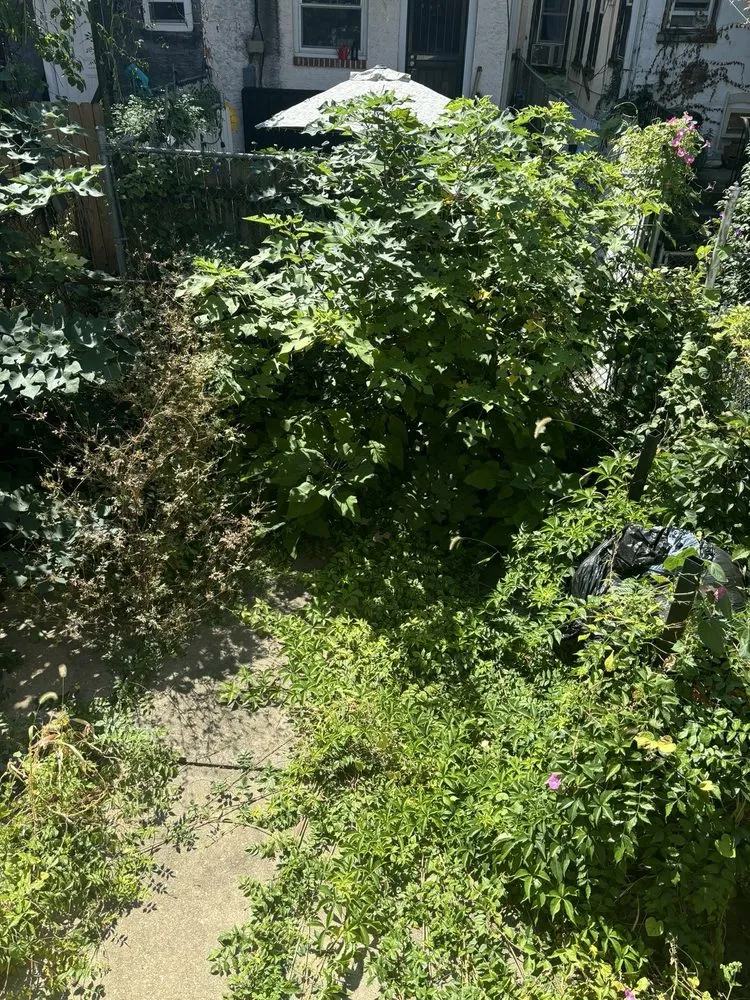 Top-rated garden landscaping in Philadelphia, PA - All Hands Aboard