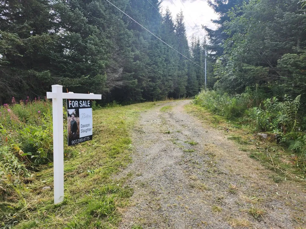 Affordable yard cleanup service in Anchor Point, AK - All Hands on Deck