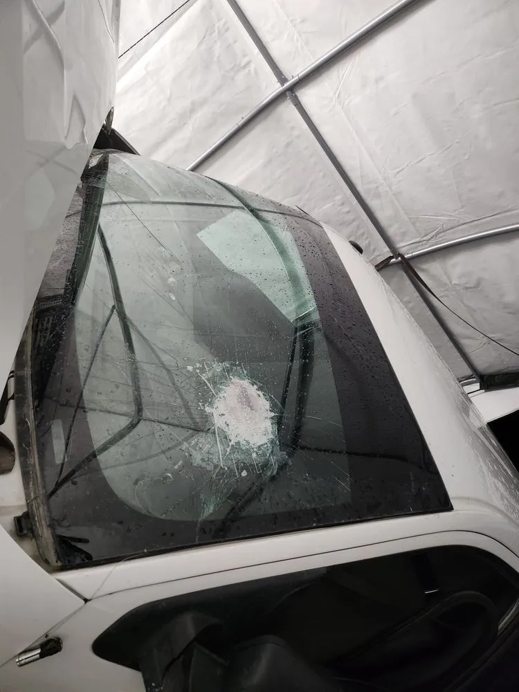 Top-rated landscaping services in Anchor Point, AK by All Hands on Deck