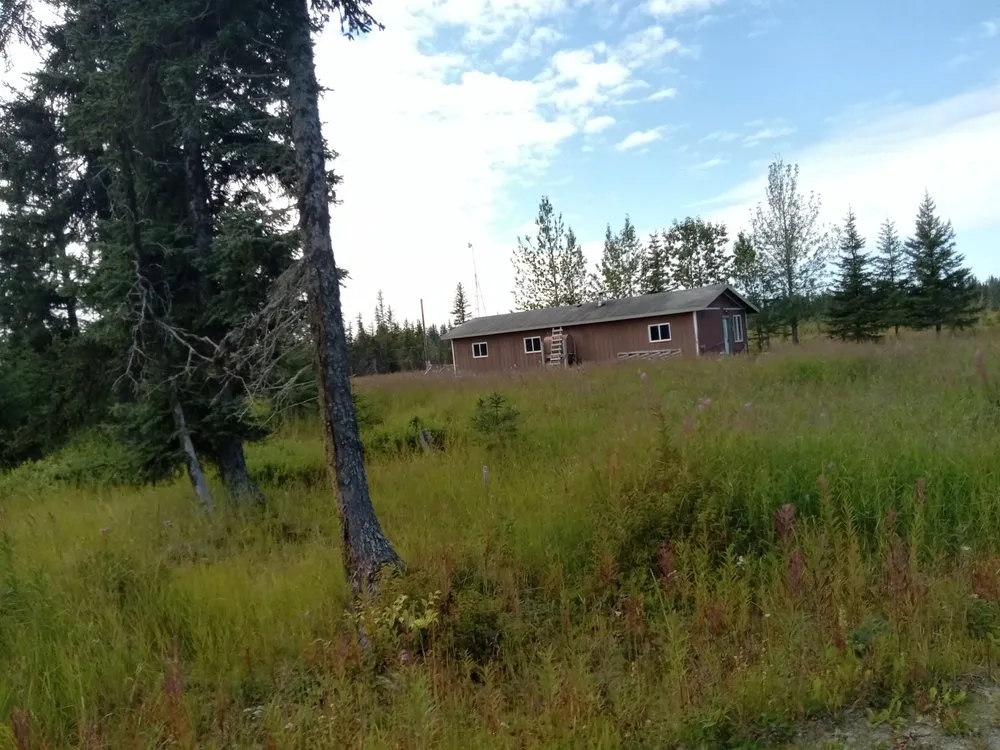 Top-rated yard cleanup service experts serving Anchor Point, AK - All Hands on Deck