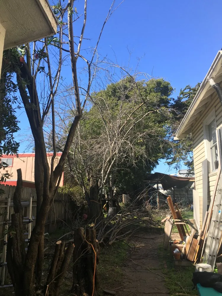 Reliable outdoor landscaping for homes across Sacramento, CA - All Hands On Deck