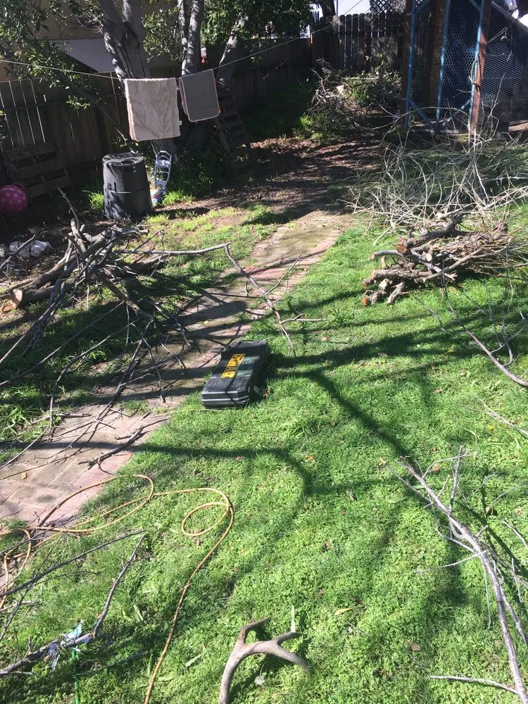 Top-rated landscape installation for outdoor upgrades across Sacramento, CA - All Hands On Deck