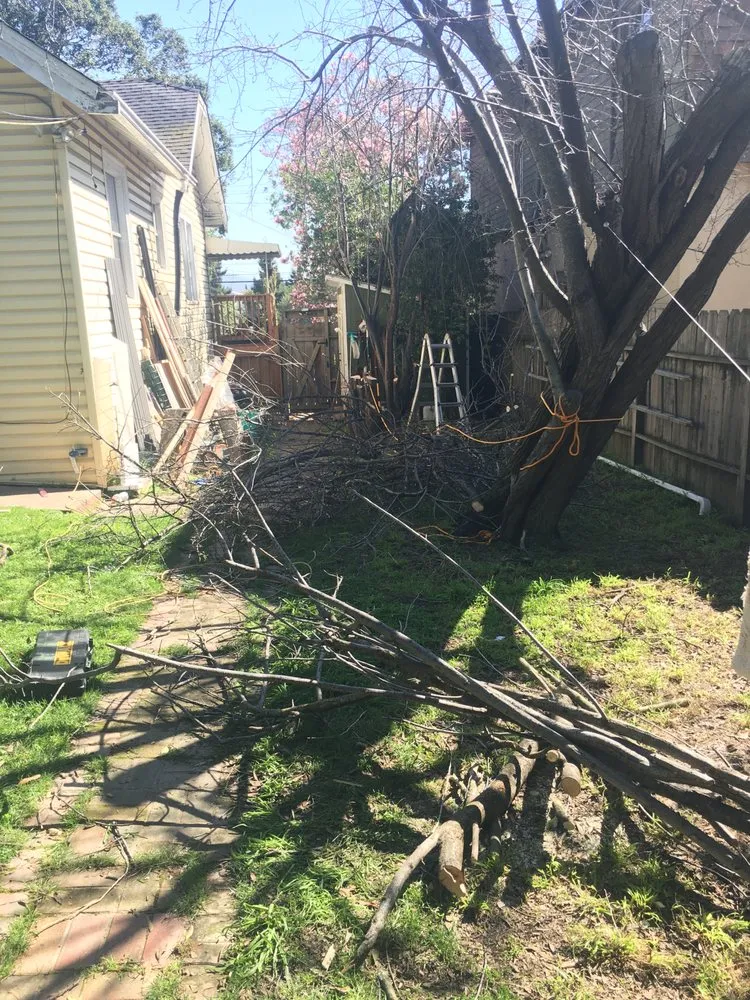 Expert yard maintenance in Sacramento, CA by All Hands On Deck