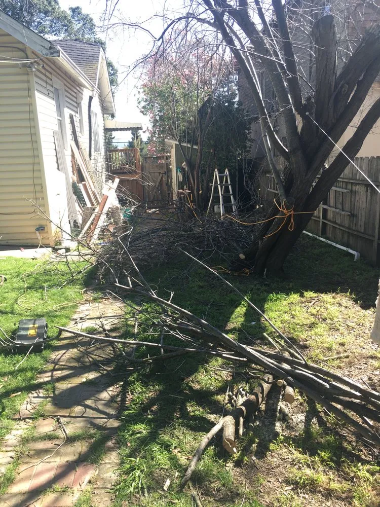 Custom lawn mowing service for outdoor upgrades across Sacramento, CA - All Hands On Deck