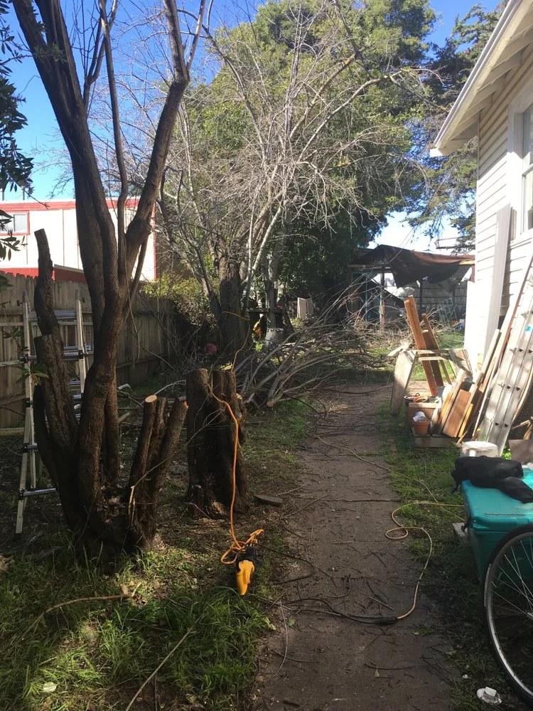 Custom landscaping services experts serving Sacramento, CA - All Hands On Deck