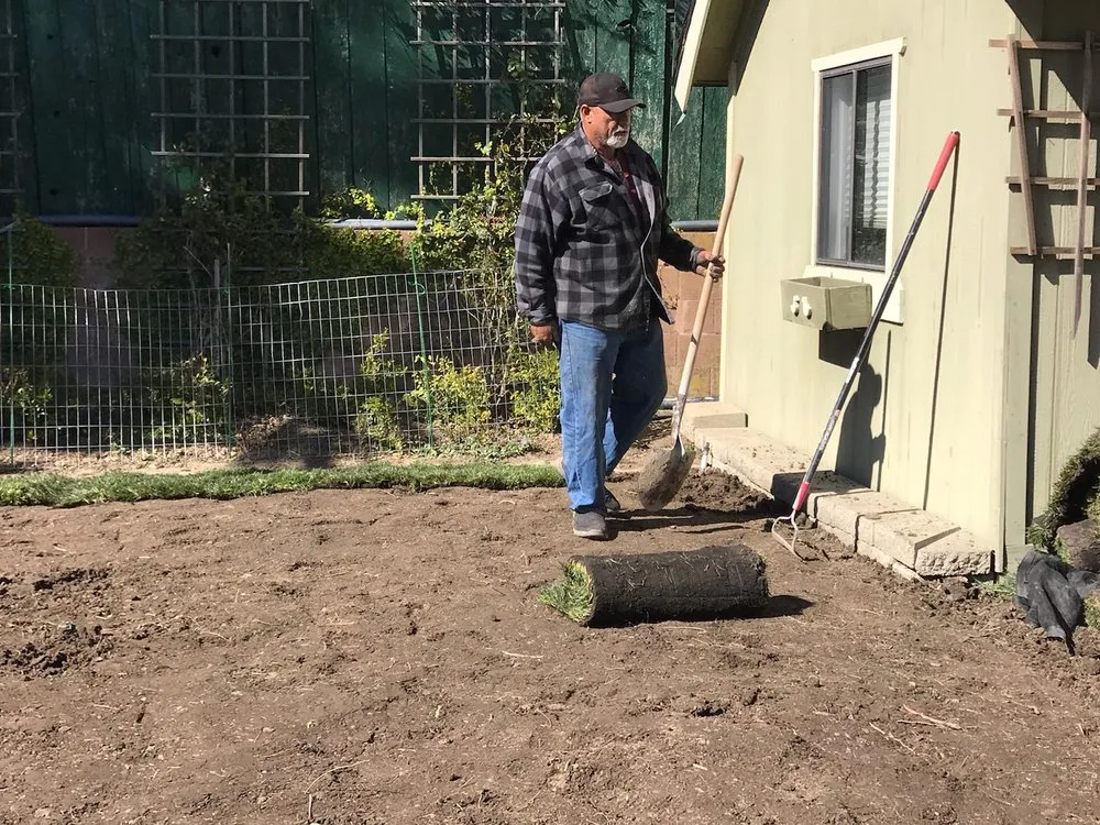 Trusted lawn care service in Pittsburg, CA - All Hard Work