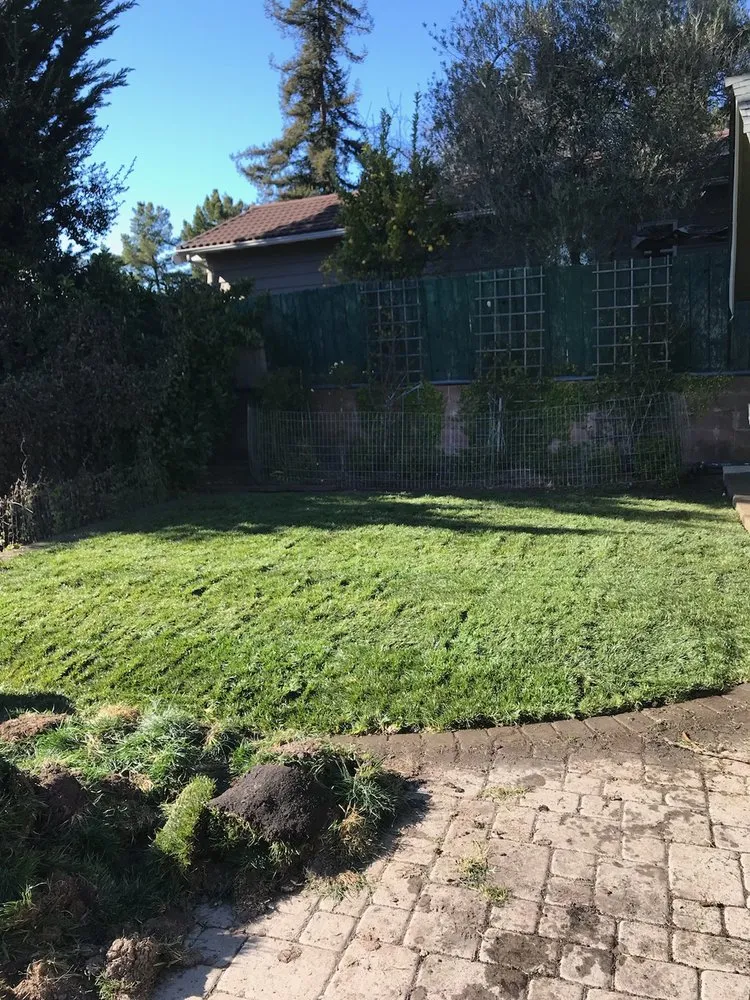 Reliable lawn care service in Pittsburg, CA - All Hard Work