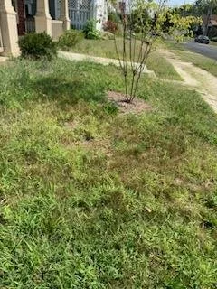 Trusted landscaping services in Peoria, IL - All haul Cleaning Lawn and Hauling Services