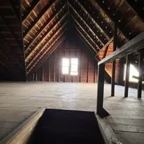 Reliable yard maintenance experts serving Royal Oak, MI - All I Do Is Junk