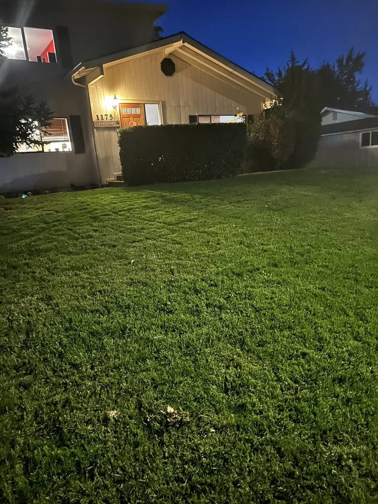 Local residential landscaping experts serving Medford, OR - All-in-1 Cleaning Company