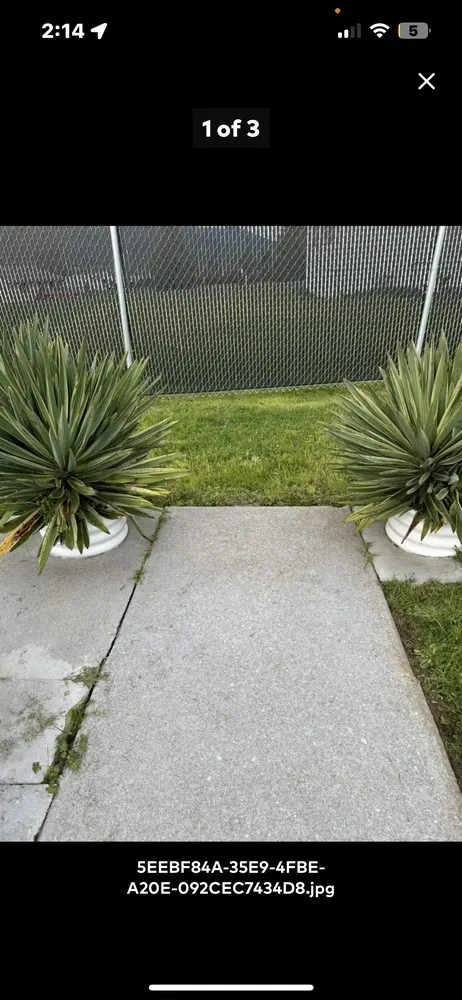 Top-rated lawn mowing service experts serving Medford, OR - All-in-1 Cleaning Company