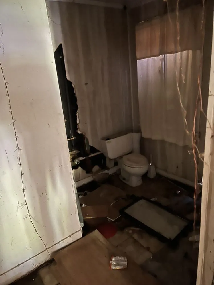 Professional landscape installation for year-round maintenance in Eclectic, AL by All In 1 Contracting