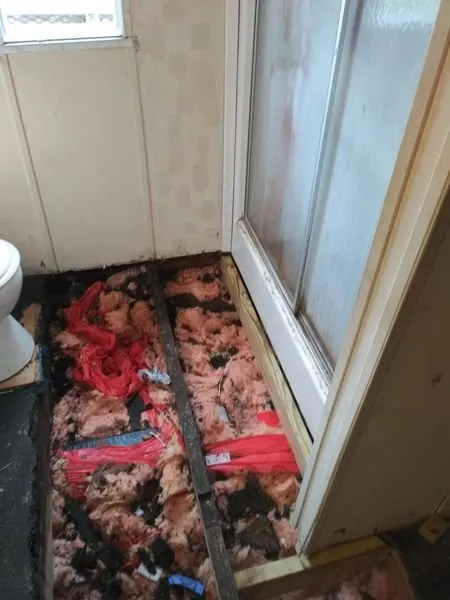 Top-rated yard maintenance in Greenwood, SC by All In 1 Home Repairs