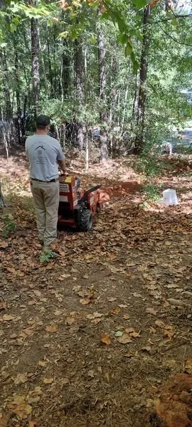 Reliable landscaping services for year-round maintenance across Greenwood, SC - All In 1 Home Repairs