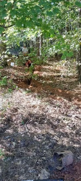 Top-rated yard cleanup service in Greenwood, SC by All In 1 Home Repairs