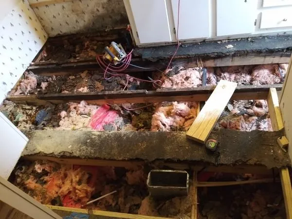 Top-rated yard cleanup service in Greenwood, SC - All In 1 Home Repairs