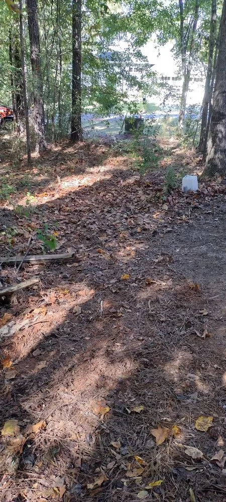 Expert lawn mowing service in Greenwood, SC - All In 1 Home Repairs