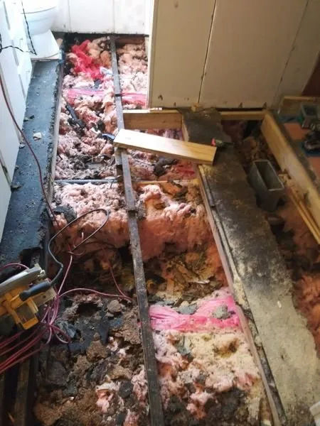 Top-rated yard maintenance experts serving Greenwood, SC - All In 1 Home Repairs