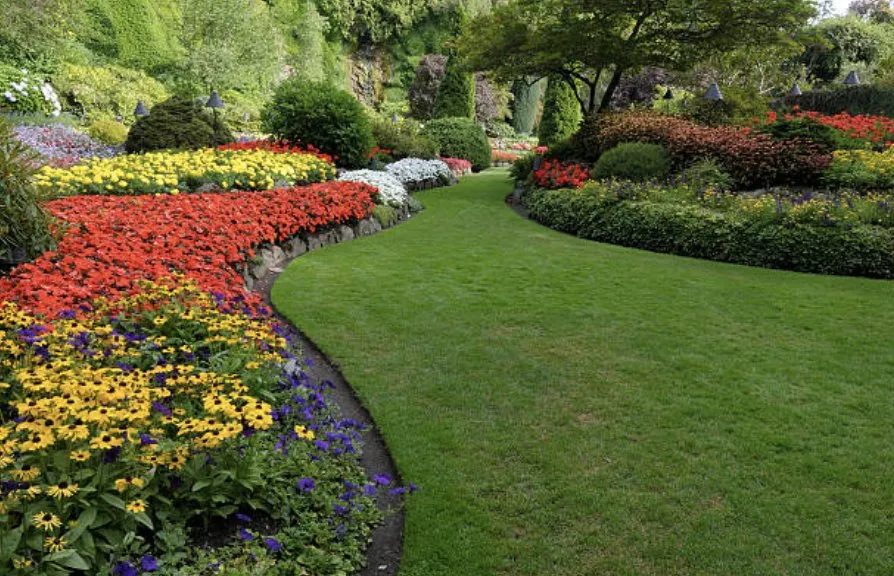 Trusted outdoor landscaping experts serving Wayne, NJ - All in 1 Landscaping & Construction