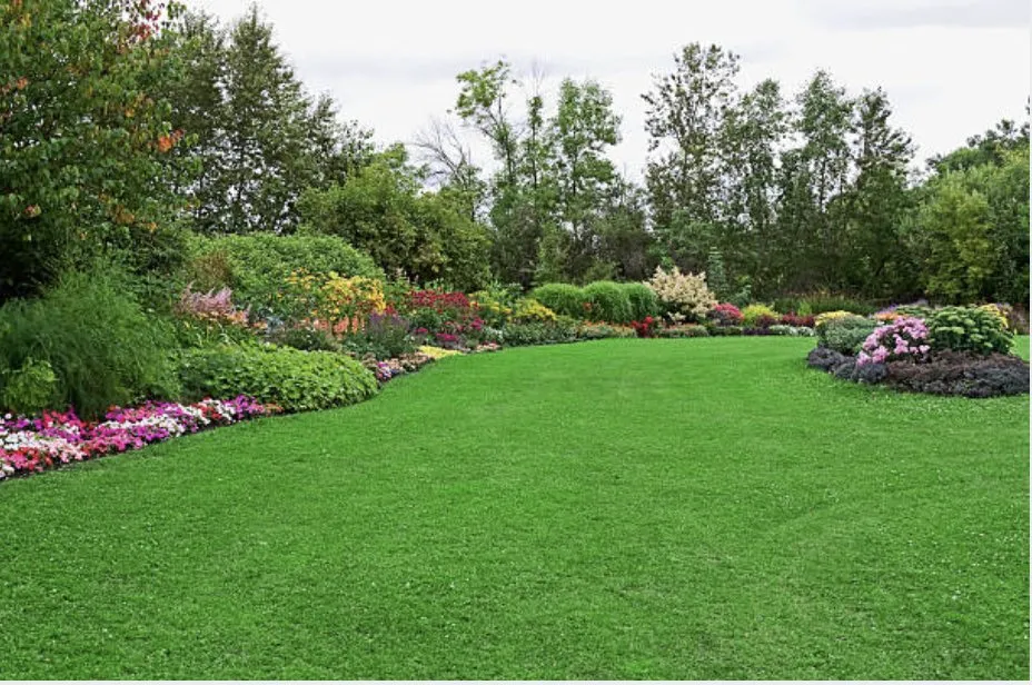Trusted landscape design in Wayne, NJ by All in 1 Landscaping & Construction